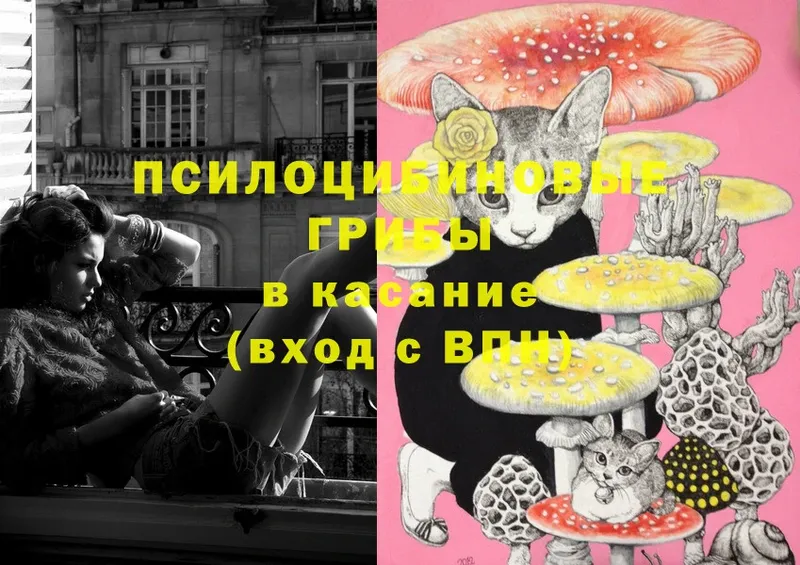 Псилоцибиновые грибы мицелий  Калининец 